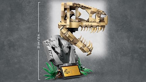 LEGO Jurassic World Dinosaur Fossils: T. rex Skull Toy for 9 Plus Year Old Boys, Girls & Kids, 3D Skeleton Model Kit with Opening Jaw and Display Stand, makes a Cool Dino Decoration, Gift Idea 76964 - Image 4